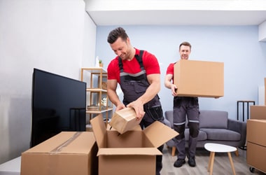 Packing and Unpacking Servicesa